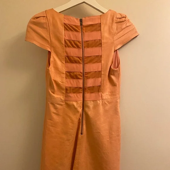 Alice + Olivia | Dresses | Alice Olivia Pink Leather Cap Sleeve Mini Dress | Poshmark Alice + Olivia | Dresses | Alice Olivia Pink Leather Cap Sleeve Mini Dress | Poshmark